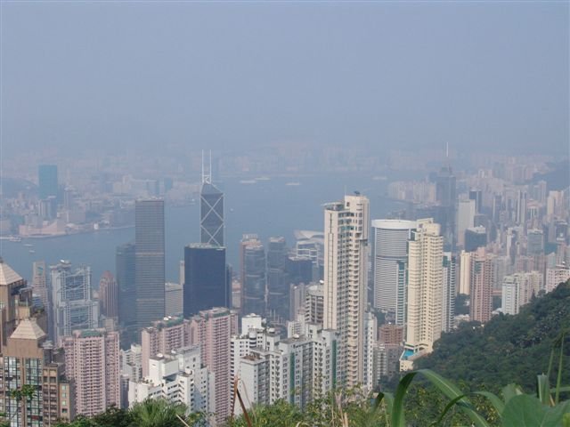 View from the top