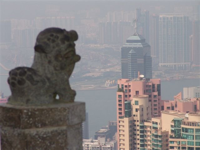 View from the top